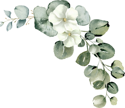 Watercolor eucalyptus wreath